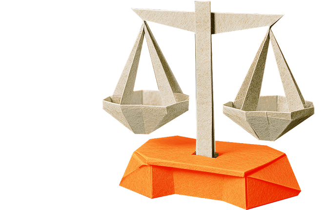 IP Audits And Due Diligence Law Firm in Delhi, India